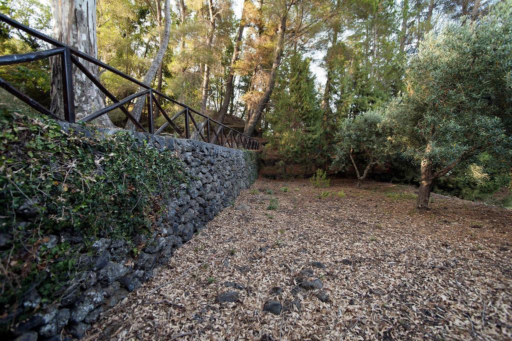 Casa Vacanze Etna Пьедимонте-Этнео Экстерьер фото