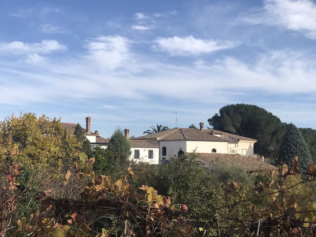 Casa Vacanze Etna Пьедимонте-Этнео Экстерьер фото